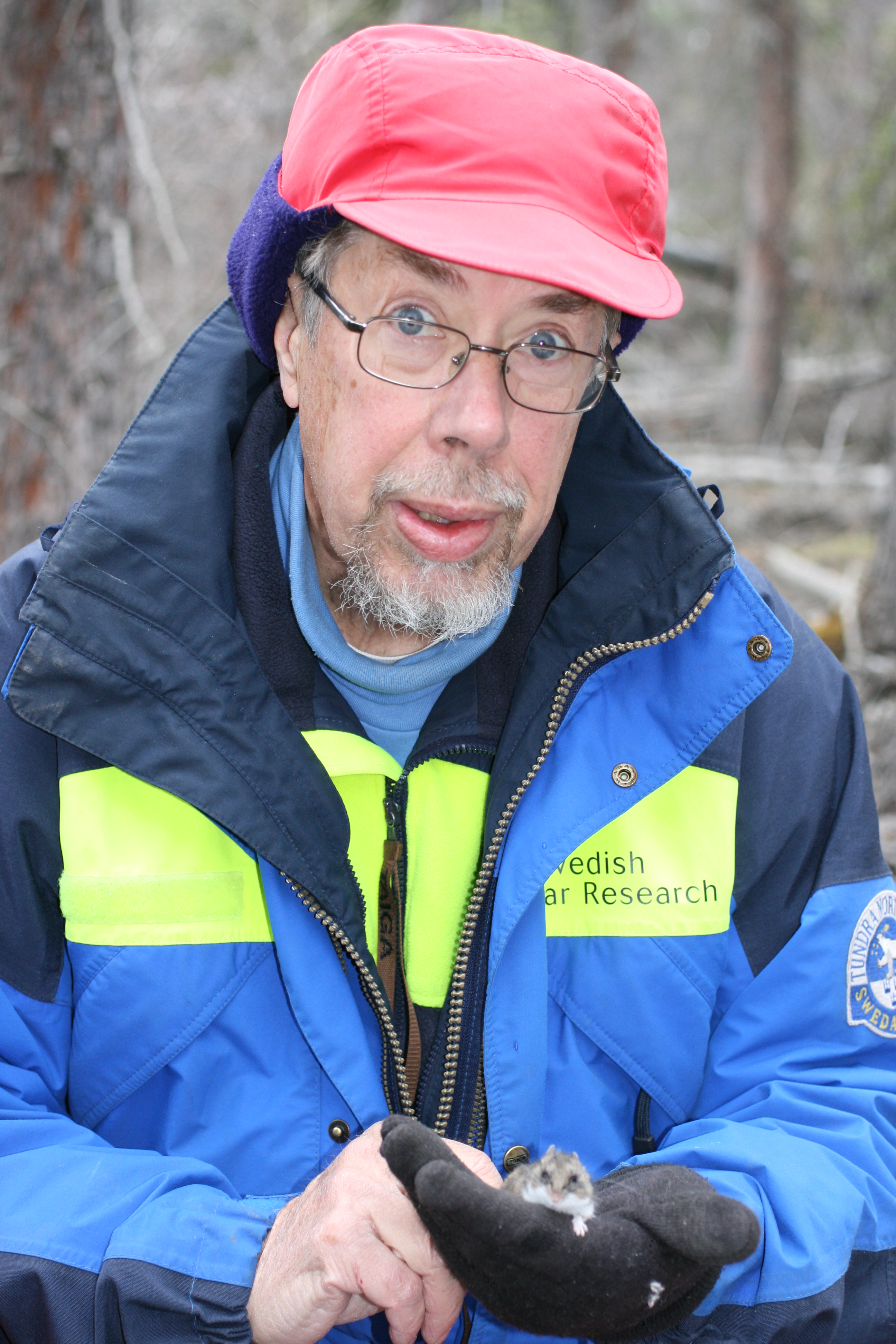 Dr. Krebs working in Yukon