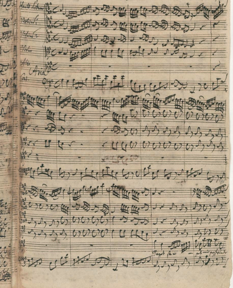 Bach Pages