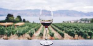 Wine