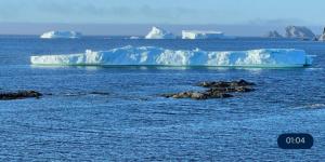 Newfoundland