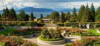 UBC Rose garden