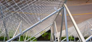 Behind the living wall at UBC Sustainability Hub