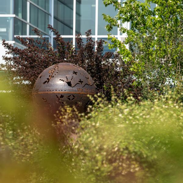 UBCO