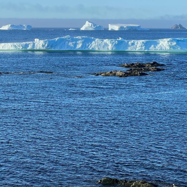 Photo of the ocean 