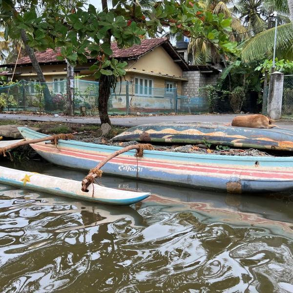 Boats on the river